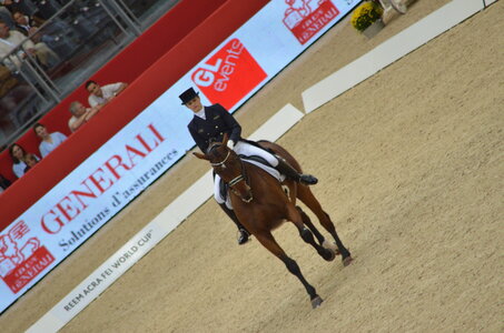 Dressage Lyon, DSC_3031
