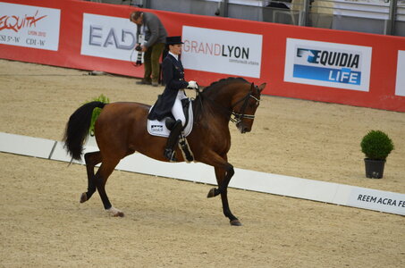Dressage Lyon, DSC_3033