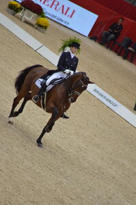 Dressage Lyon, DSC_3039