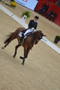 Dressage Lyon, DSC_3040