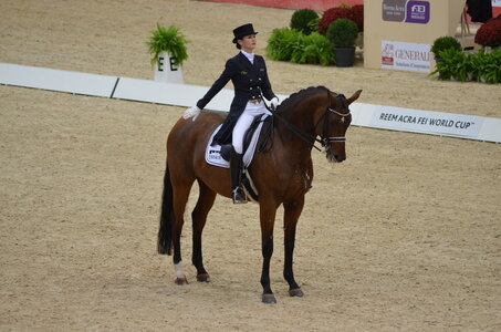 Dressage Lyon, DSC_3043