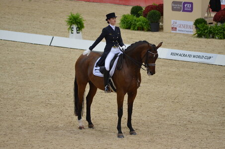 Dressage Lyon, DSC_3044