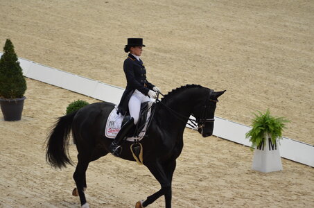 Dressage Lyon, DSC_3053