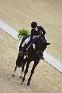 Dressage Lyon, DSC_3054