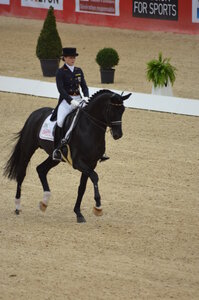Dressage Lyon, DSC_3058