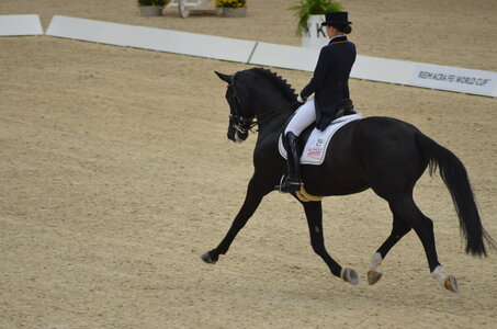 Dressage Lyon, DSC_3065