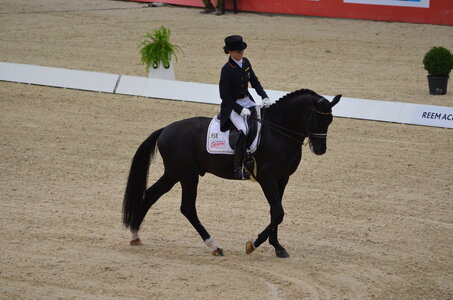 Dressage Lyon, DSC_3071