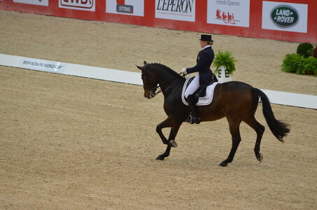 Dressage Lyon, DSC_3079