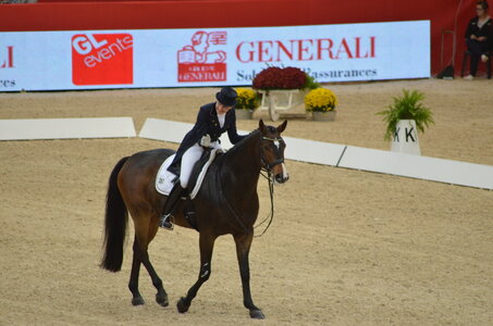 Dressage Lyon, DSC_3086