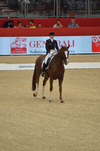 Dressage Lyon, DSC_3090