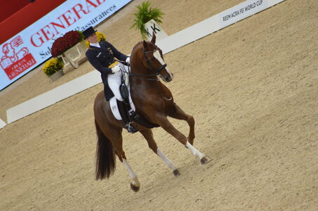 Dressage Lyon, DSC_3095