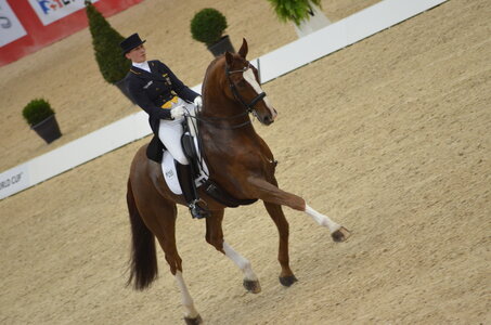 Dressage Lyon, DSC_3097