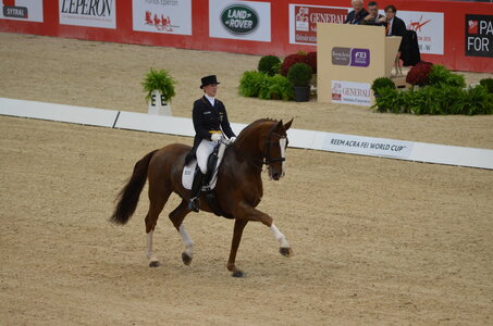 Dressage Lyon, DSC_3098