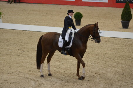 Dressage Lyon, DSC_3103