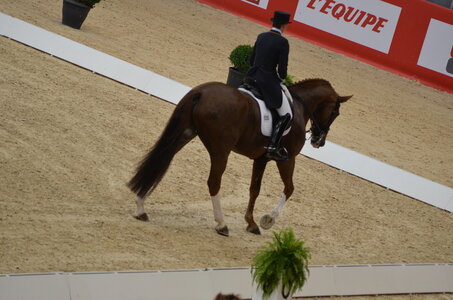 Dressage Lyon, DSC_3105