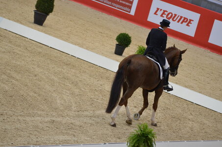 Dressage Lyon, DSC_3107