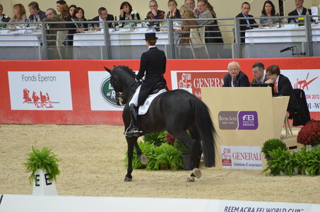 Dressage Lyon, DSC_3117