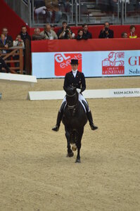 Dressage Lyon, DSC_3120
