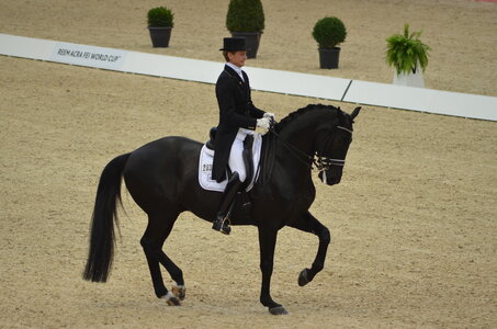 Dressage Lyon, DSC_3121
