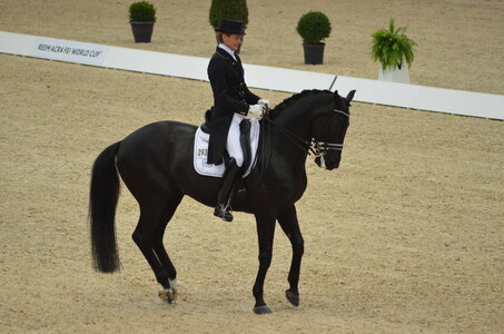 Dressage Lyon, DSC_3122