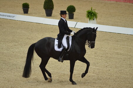 Dressage Lyon, DSC_3123
