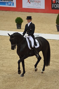 Dressage Lyon, DSC_3125
