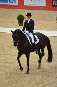 Dressage Lyon, DSC_3127
