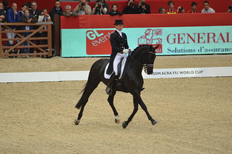 Dressage Lyon, DSC_3129