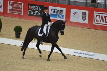 Dressage Lyon, DSC_3131