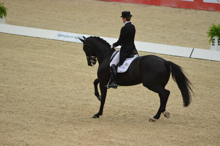 Dressage Lyon, DSC_3136