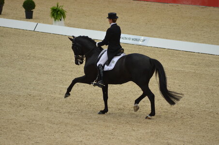 Dressage Lyon, DSC_3138