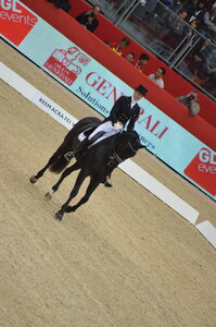 Dressage Lyon, DSC_3142