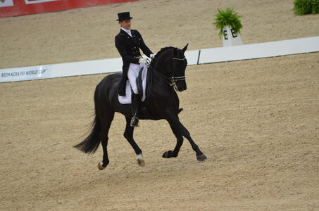 Dressage Lyon, DSC_3143