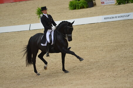 Dressage Lyon, DSC_3145
