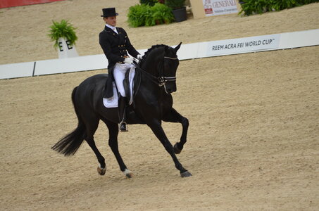 Dressage Lyon, DSC_3146