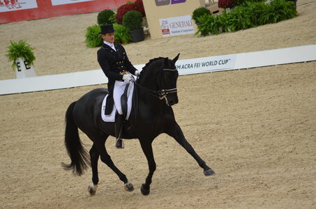 Dressage Lyon, DSC_3147