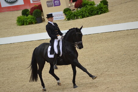 Dressage Lyon, DSC_3148