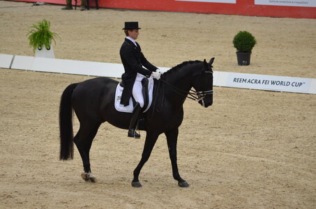 Dressage Lyon, DSC_3150