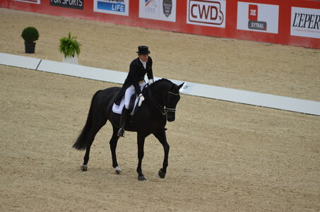 Dressage Lyon, DSC_3156
