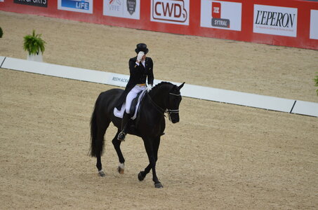 Dressage Lyon, DSC_3158