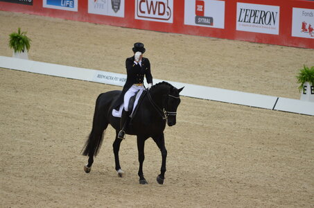 Dressage Lyon, DSC_3159
