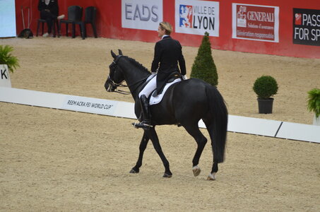 Dressage Lyon, DSC_3171