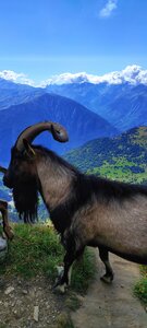Cret LOGNAN, IMG_20210829_151246-01