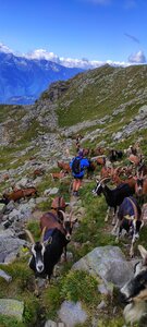 Cret LOGNAN, IMG_20210829_151152-01