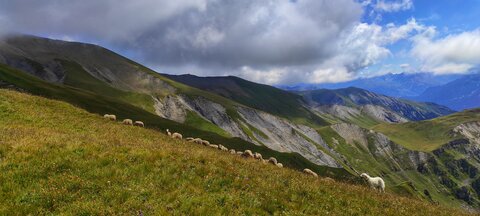 Cret LOGNAN, IMG_20210829_145600-01