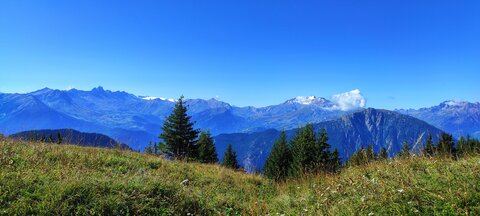 Cret LOGNAN, IMG_20210829_113809-01