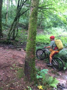 VTT Kemberg, IMG_0517