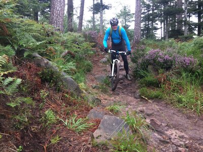 VTT Kemberg, IMG_0565