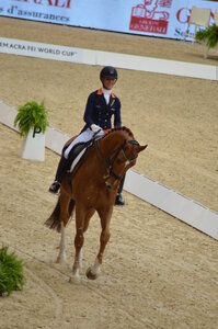 Dressage Lyon, DSC_3174