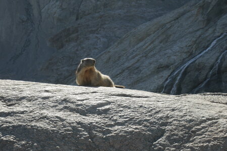 2021-08-25-30-trilogie-du-glacier-blanc, alpes-aventure-alpinisme-aiguille-pierre-estienne-pdb-2021-08-27-67